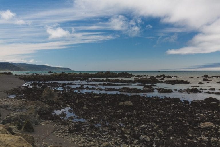黑沙和岩石海岸线在黑沙海滩附近庇护所湾，加利福尼亚州