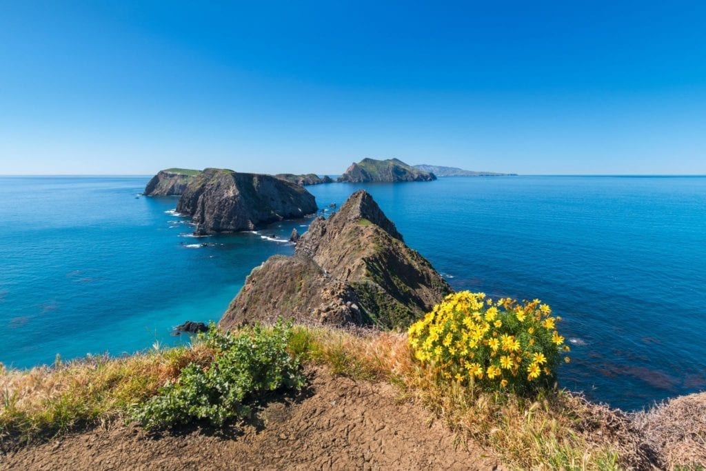 在加州海峡群岛国家公园的风景附近，有一排长着黄色野花的岛屿bob游戏官方