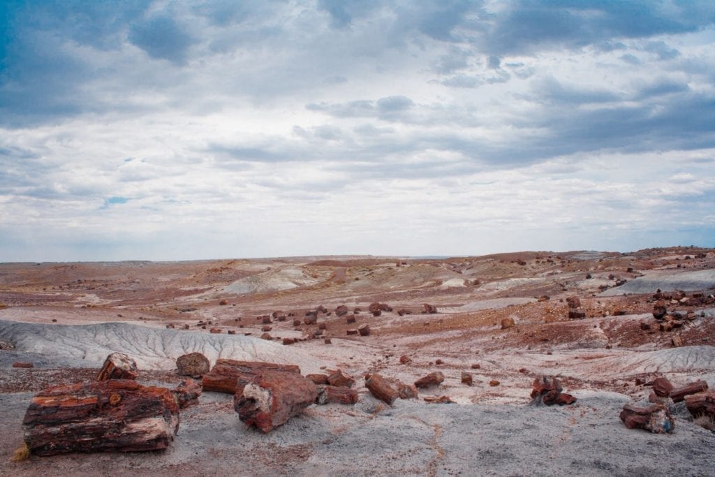 在亚利桑那州的石化森林国家公园里，化石木材散落在一片贫瘠的沙漠上bob游戏官方