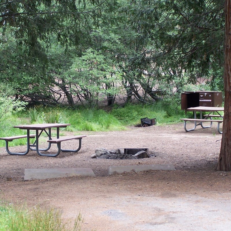 杜鹃花露营地在国王峡谷国家公园bob游戏官方
