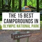 在奥林匹克国家公园最好的露营地Pinterest Pinbob游戏官方