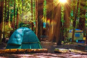 国王峡谷国家公园的7个最佳露营地点bob游戏官方