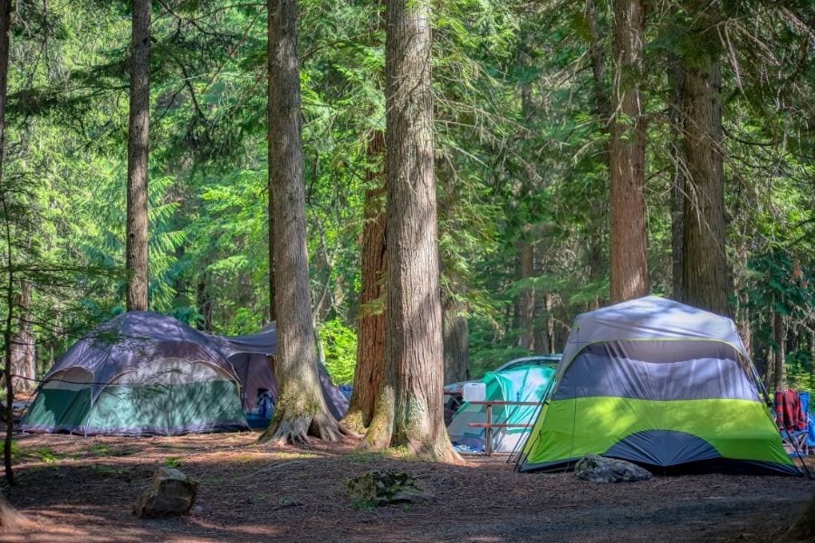帐篷在冰川国家公园的一个营地bob游戏官方