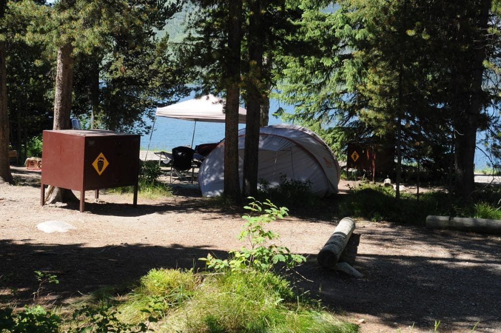 大提顿国家公园蜥蜴溪露营地的帐篷bob游戏官方