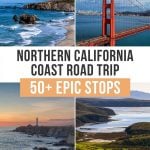 北加州最佳自驾游:旧金山至红木国家公园bob游戏官方