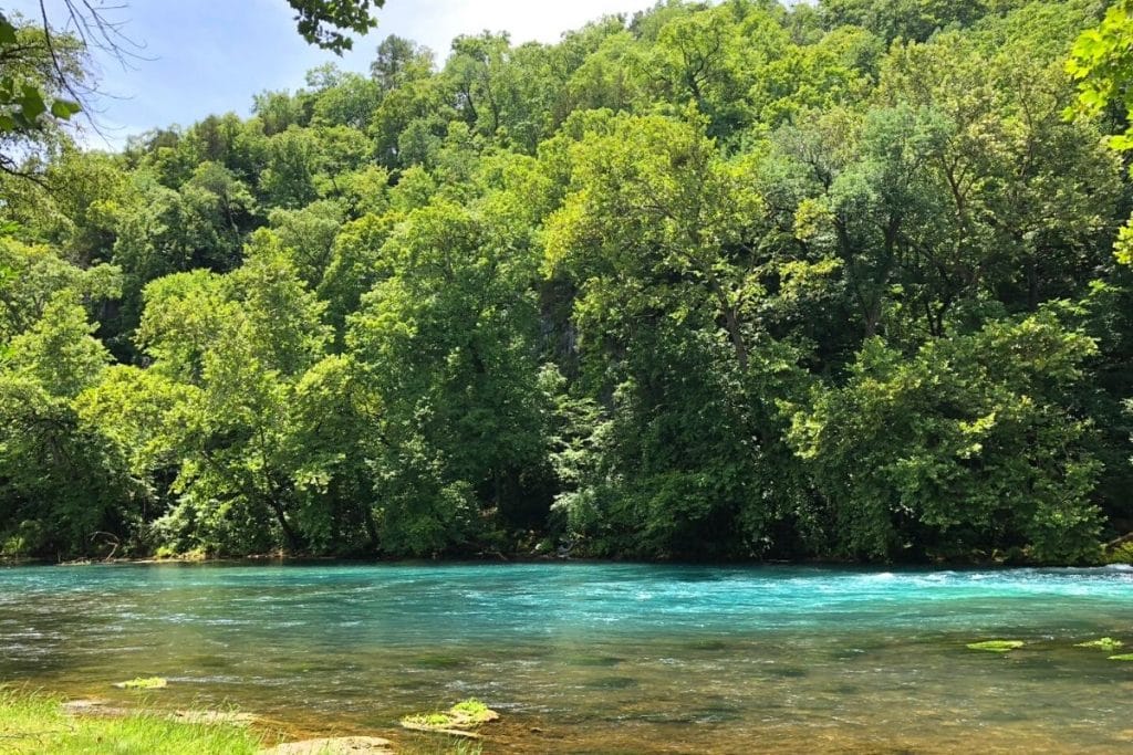 欧扎克国家风景河道中的河流和树木