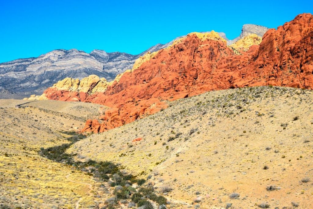 红岩峡谷国家保护区的岩石和沙漠