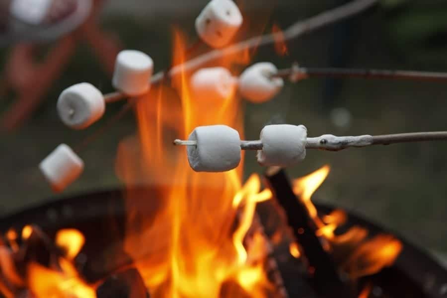 篝火上烤着棉花糖