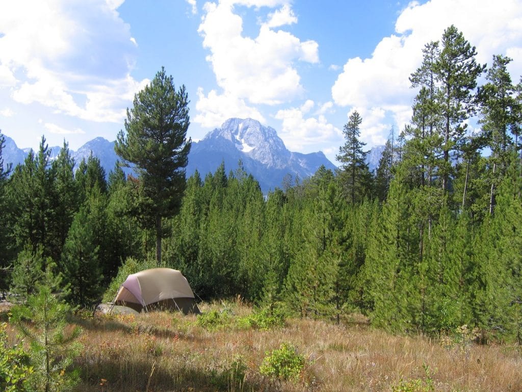 大提顿Signal Mountain露营地的帐篷